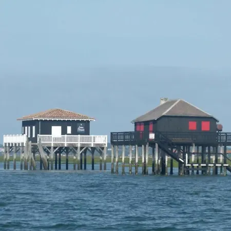 Cosy, Piscine, Parking, 5min Et Du Port, * آركاشو
