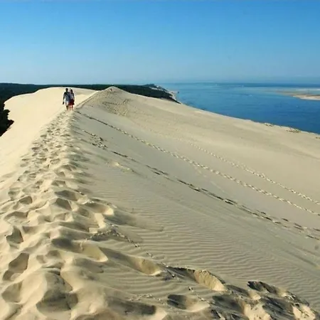 Cosy, Piscine, Parking, 5min Et Du Port, آركاشو