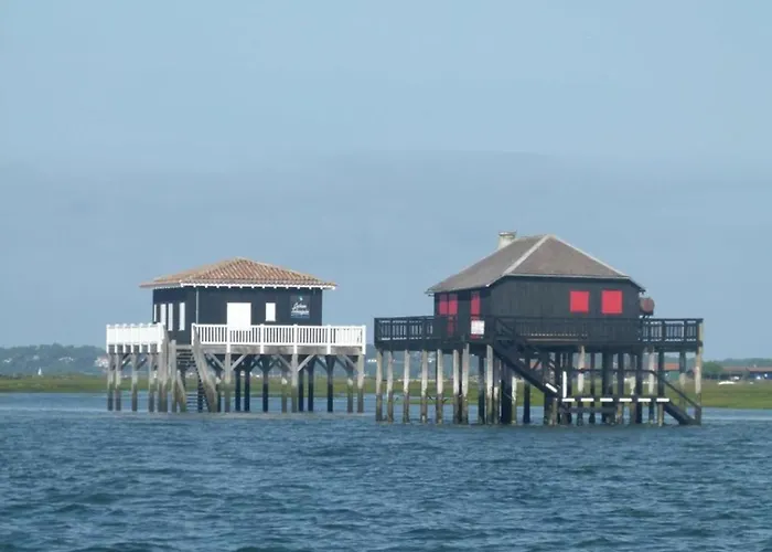 Cosy, Piscine, Parking, 5min Et Du Port, * آركاشو