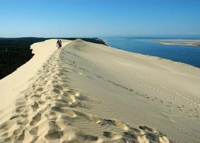 Cosy, Piscine, Parking, 5min Plage, Menage Draps Inclus Arcachon